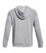 Sweat À Capuche Homme Gris Under Armour-3