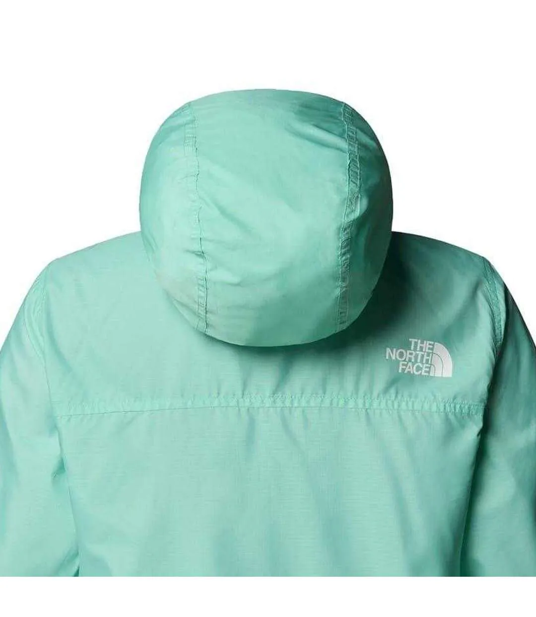Veste À Capuche Motif/style Logo Femme Turquoise Vif The North Face-4