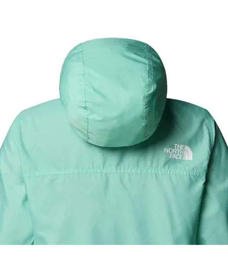 Veste À Capuche Motif/style Logo Femme Turquoise Vif The North Face