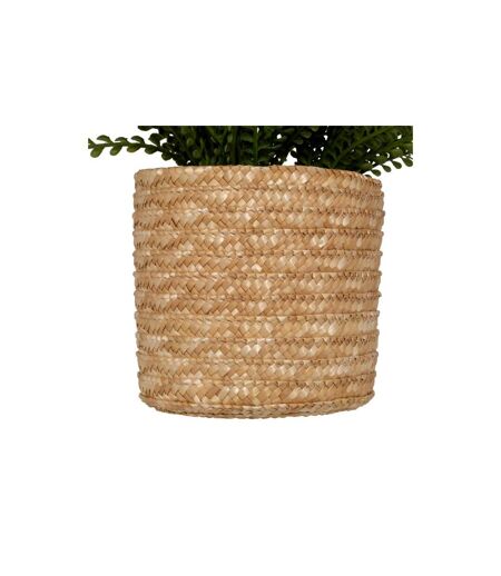 Fougère Artificielle en Pot Clemy 30cm Vert