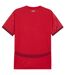 Maillot Domicile Motif/style Puma Homme Rouge Switzerland-3