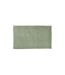 Tapis de Bain Microfibre Sweety 45x75cm Sauge-1