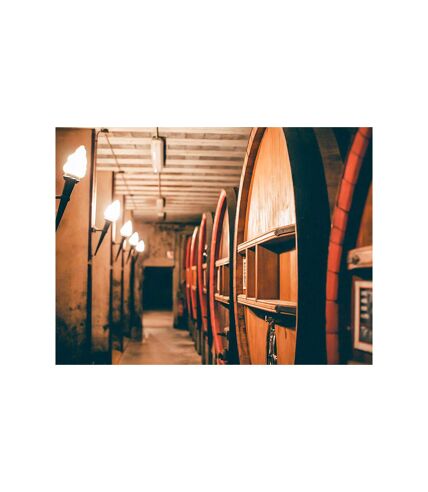 Dégustation de 5 vins et visite de cave à Châteauneuf-du-Pape - SMARTBOX - Coffret Cadeau Gastronomie