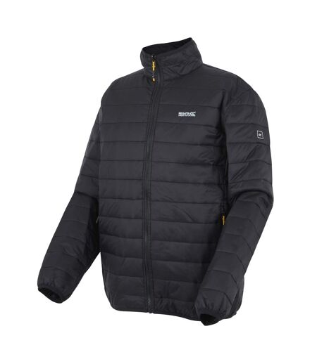 Veste 3-en-1 Wentwood Homme Cendre Noir Regatta