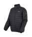 Veste 3-en-1 Wentwood Homme Cendre Noir Regatta-4
