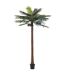 Plante Artificielle Palmier 4 Noix de Coco 350cm Vert-1