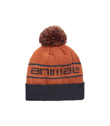 Bonnet briggs marron foncé Animal