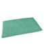 Tapis de Bain Microfibre Sweety 50x120cm Tilleul-2