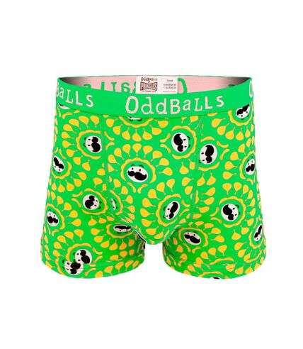 Boxer sour cream homme vert / jaune OddBalls