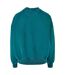 Sweat Femme Bleu Sarcelle Urban Classics-2