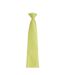 Cravate Colours Orginals Fashion 144 Cm X 10 Cm Vert Clair Premier-2