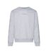 Mens Pull Over Sweatshirt Grey Heather Calvin Klein-1