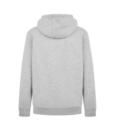 Sweat À Capuche Motif/style Uni Homme Gris Chiné Ellesse