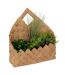 Plantes Artificielles à Suspendre Jika 28cm Naturel-1