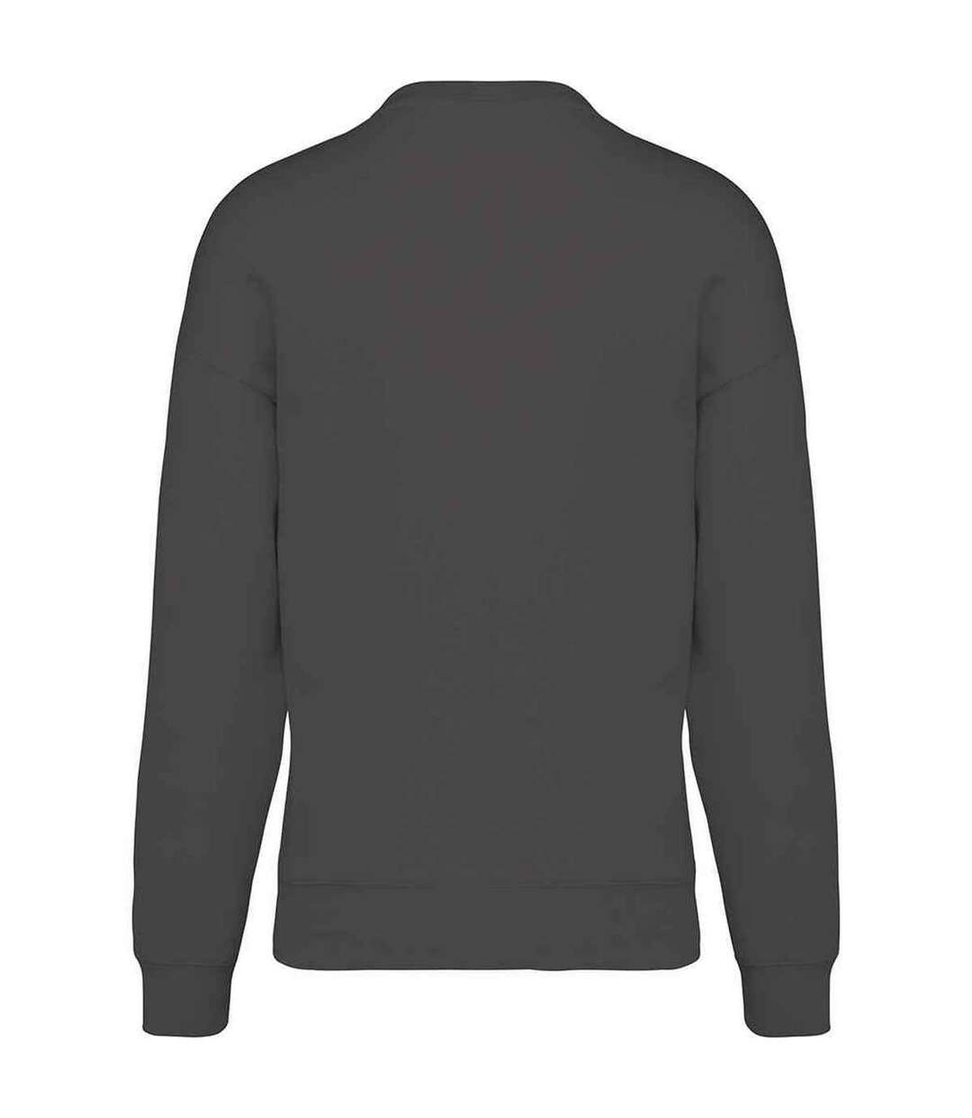 Womens/ladies oversized sweatshirt iron grey Native Spirit-2
