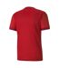Maillot Teamgoal Homme Rouge Puma-2