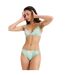 Womens/ladies Hibiscus Triangle Cups Bikini Set Green Roxy-2