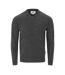 Pull Manches Longues Motif/style Logo Brodé Homme Anthracite Lee Cooper-1