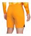 Short Motif/style Pays-bas Homme Orange Nike-2