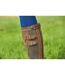 Dublin Womens/Ladies Leather Long Riding Boots (Dark Brown) - UTWB1808