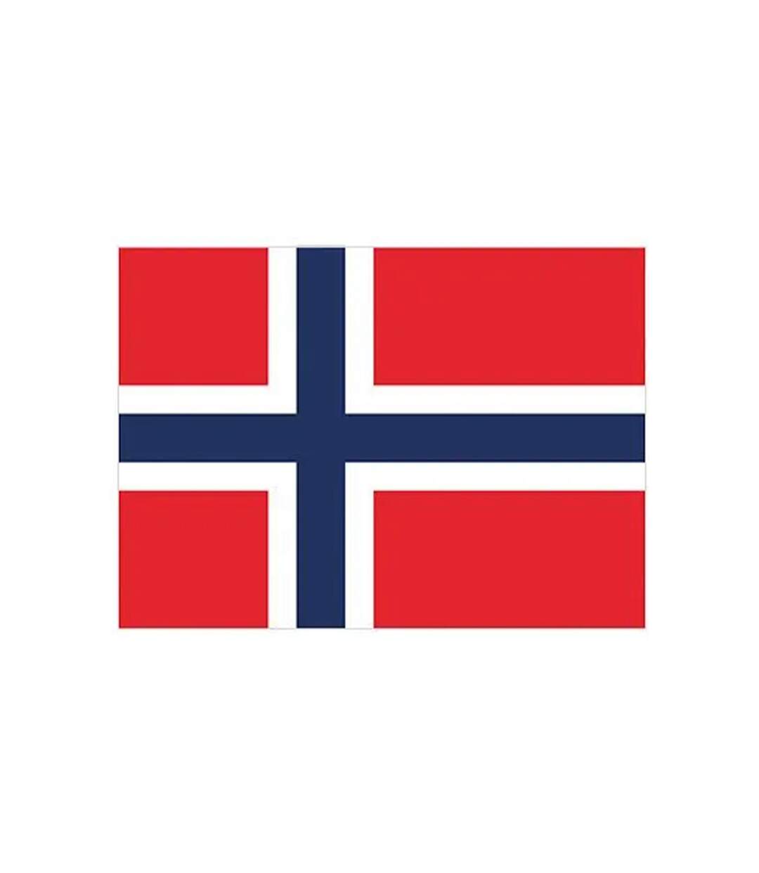 Drapeau 150 Cm X 90 Cm Rouge Bleu Marine Blanc Printwear-1
