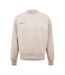 Sweat Motif/style Logo Homme Gris Pierre Pangaia-1