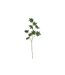 Fleur Artificielle Branche Papayer 122cm Vert-1