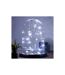 Guirlande Lumineuse 20 Led Blanc 215cm Chrome-2
