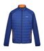 Veste hybride clumber homme bleu roi / orange kaki Regatta