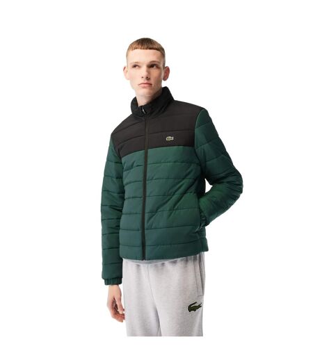 Doudoune matelassée homme noir / vert Lacoste