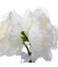 Composition Florale & Vase 3 Pivoines Verre 25cm Transparent-2