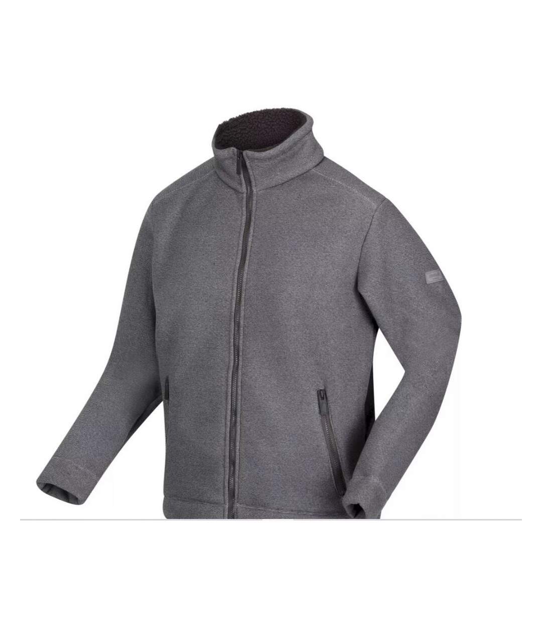 Veste Polaire Garrian Homme Cendre Regatta-3