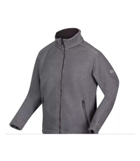 Veste Polaire Garrian Homme Cendre Regatta