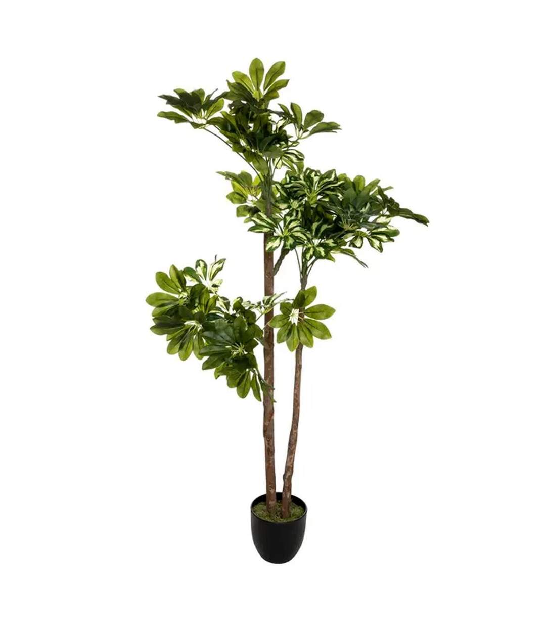 Plante Artificielle Schefflera 135cm Vert & Noir-1