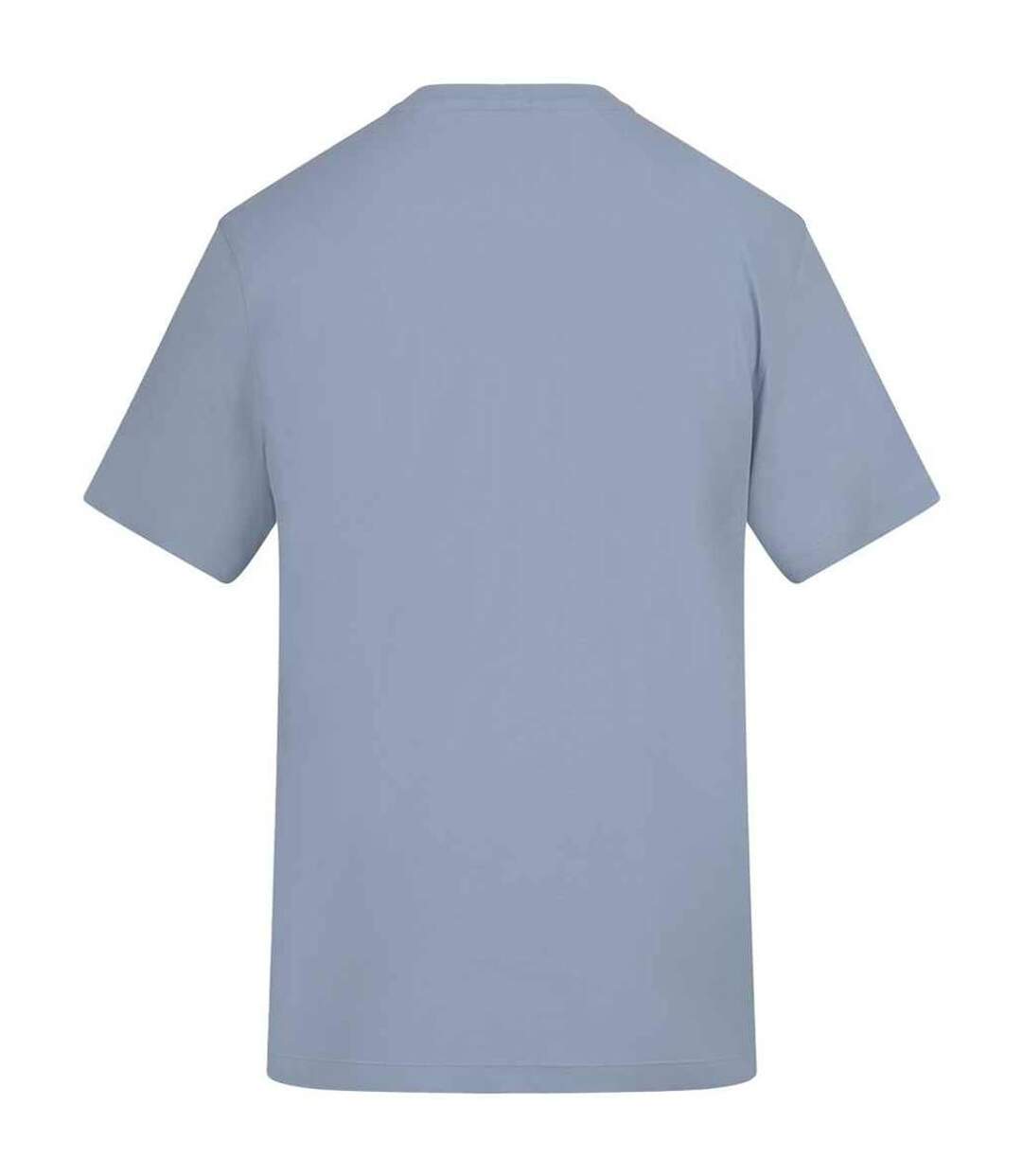 T-shirt adulte bleu ciel Awdis-2