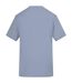 T-shirt adulte bleu ciel Awdis-2