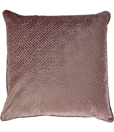 Paoletti - Housse de coussin FLORENCE (Rose pâle) (Taille unique) - UTRV1886