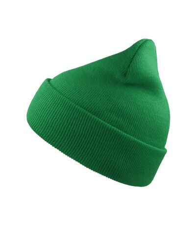 Unisex adult wind recycled cuffed beanie green Atlantis