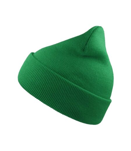Unisex adult wind recycled cuffed beanie green Atlantis