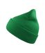 Unisex adult wind recycled cuffed beanie green Atlantis-1