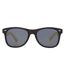 Avenue Sun Ray Bamboo Sunglasses (Solid Black) (One Size)