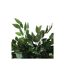 Plante Artificielle Ficus 120cm Vert