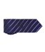 Cravate Rayée Homme Taille Unique Bleu Marine Violet Premier-2