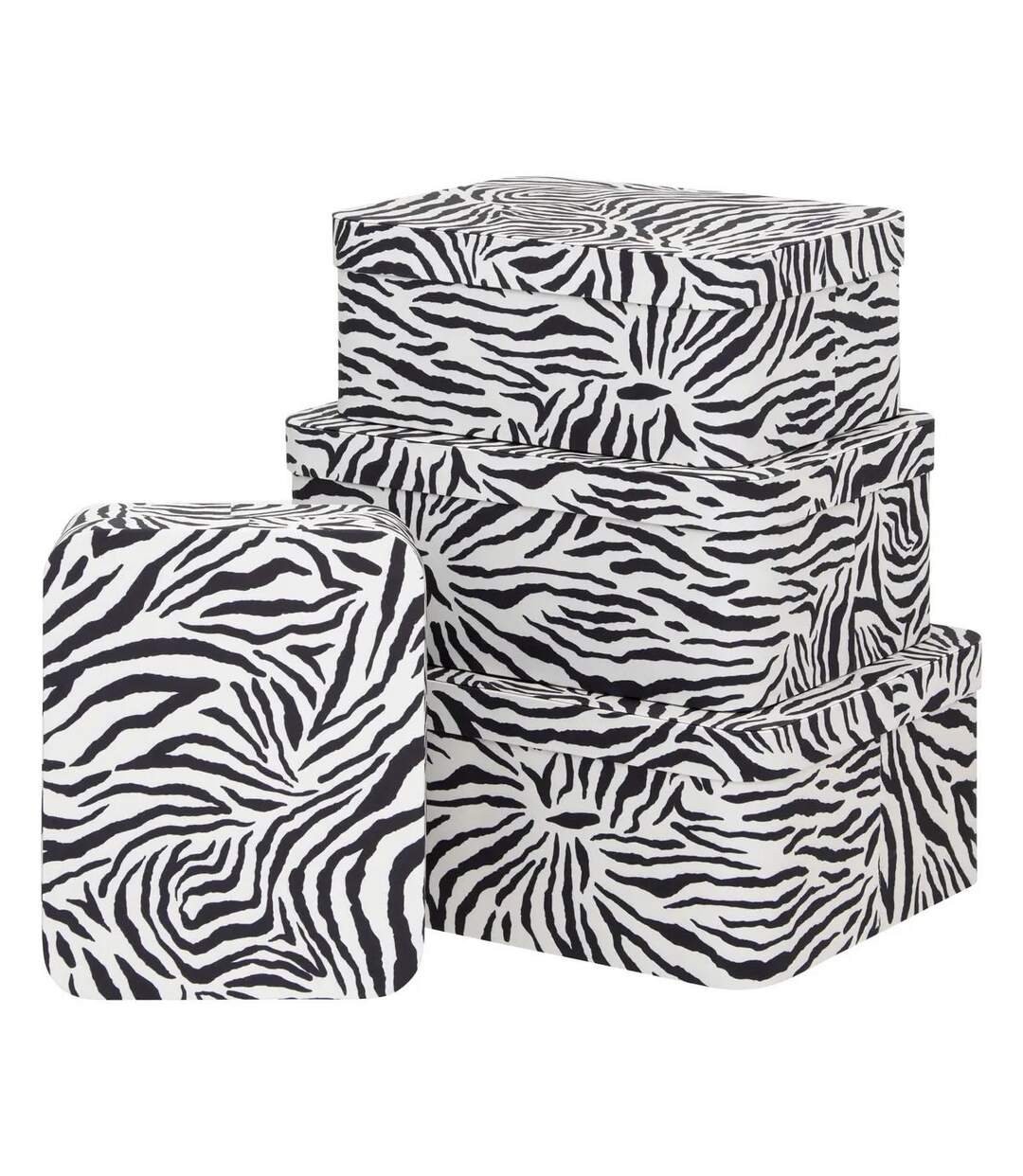 Lot de 4 Boîtes Déco Zébra Polybox 39cm Beige-1