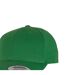 Casquette Ajustable Flexfit Classic Adulte Vert Classique Yupoong-2