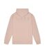 Mens Embroidered Hoodie Ash Grey Nicce-2