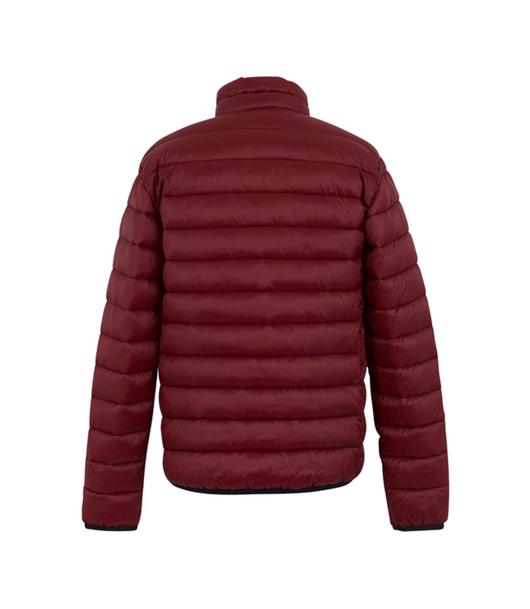 Doudoune Matelassée Marizion Homme Pourpre Foncé Regatta-3