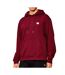 Sweat à capuche bordeaux homme calvin klein jeans 350terry micro badge-1