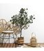 Eucalyptus Artificiel en Pot Hal 130cm Vert-3