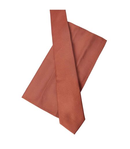 Mens textured tie & pocket square set one size rust Burton